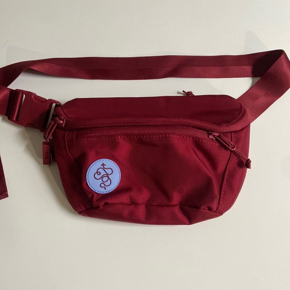 Baboon To The Moon Limited edition Fanny pack